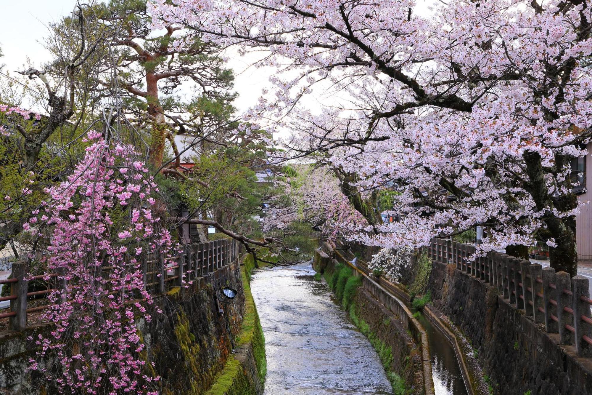 Ferienwohnung Rikka Fukiya Takayama  Exterior foto